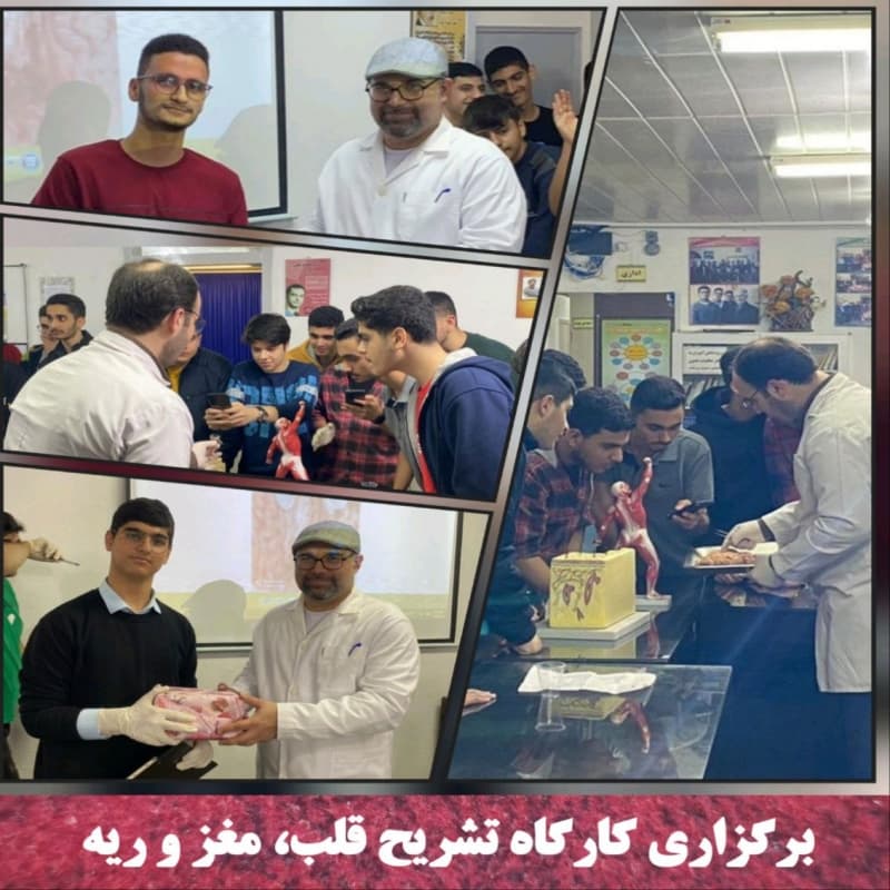 برگزاری کارگاه تشریح قلب،مغز،ریه